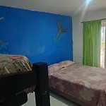 Habitaciones Palmeras 17
