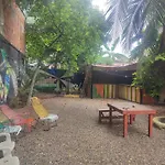 Habitaciones Palmeras 17